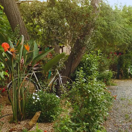 Sa Bratza * Domus De Maria