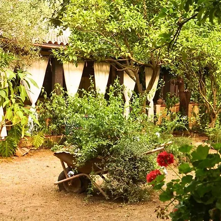 Sa Bratza * Domus De Maria