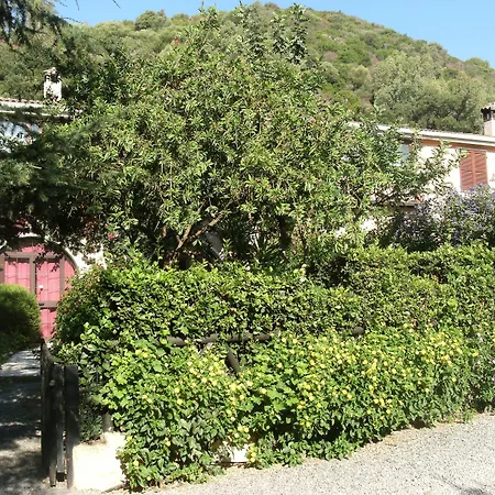 Sa Bratza Apartment Domus De Maria