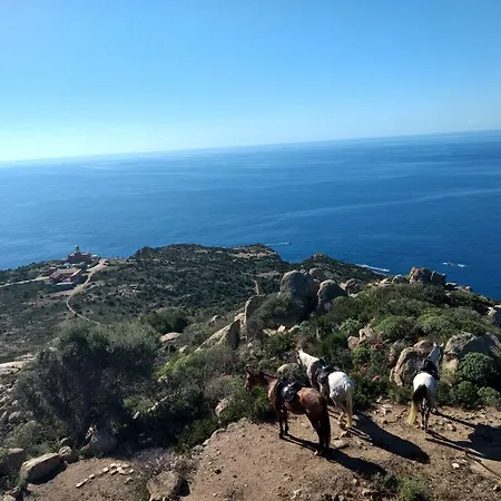 Lägenhet Sa Bratza *