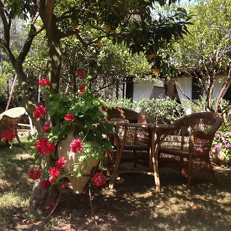 Sa Bratza Lägenhet Domus De Maria