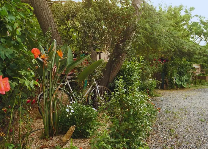 Sa Bratza * Domus De Maria