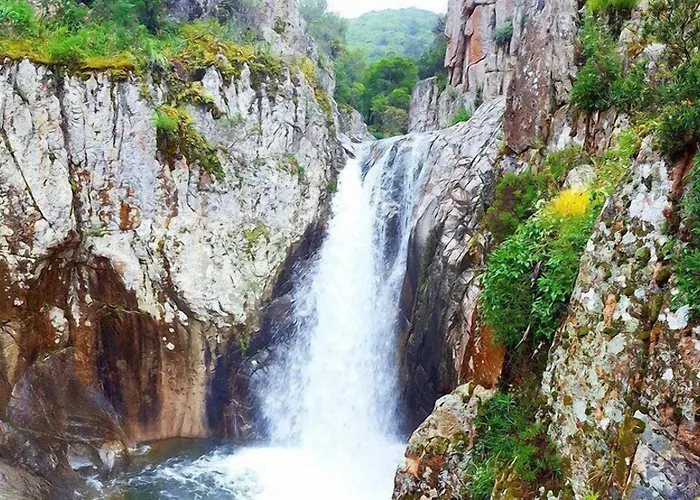 Sa Bratza Domus De Maria