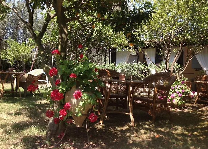 Sa Bratza Daire Domus De Maria